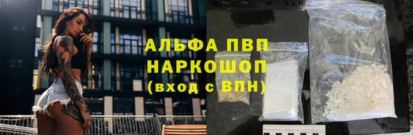 ПСИЛОЦИБИНОВЫЕ ГРИБЫ Абаза
