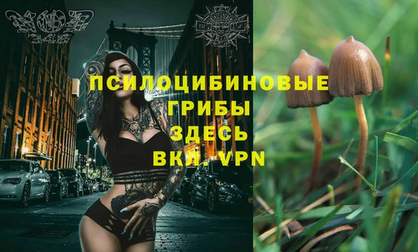 гидра Алзамай