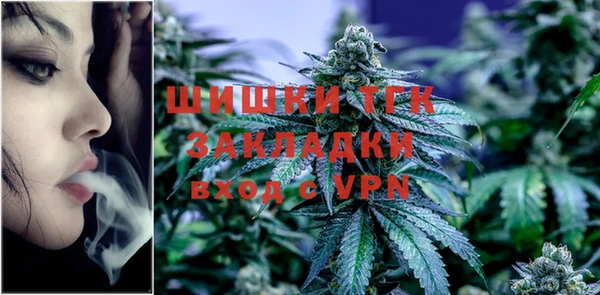 ПСИЛОЦИБИНОВЫЕ ГРИБЫ Абаза