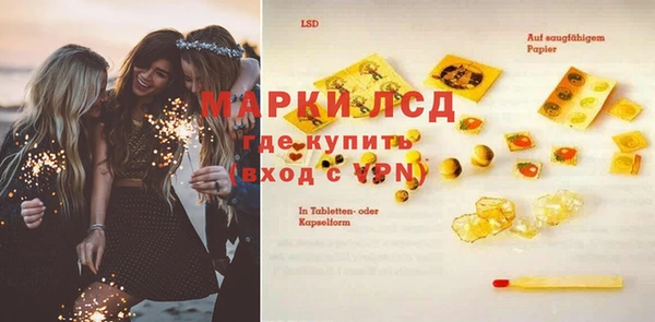 ПСИЛОЦИБИНОВЫЕ ГРИБЫ Абаза