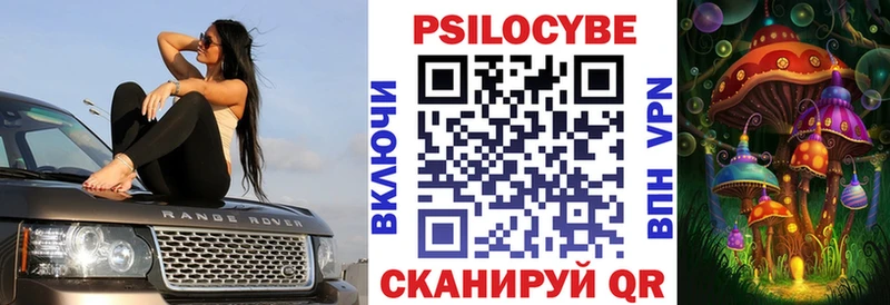 блэк спрут ссылки  Нюрба  Псилоцибиновые грибы GOLDEN TEACHER 
