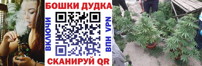 маркетплейс телеграм  Нюрба  МАРИХУАНА сатива 